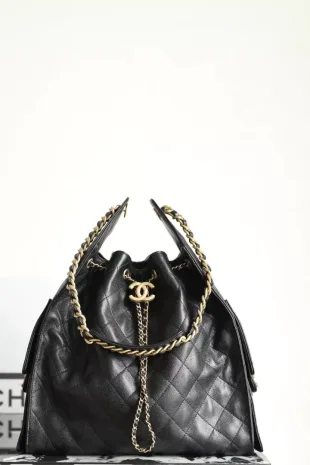 Chanel 25 Medium Handbag