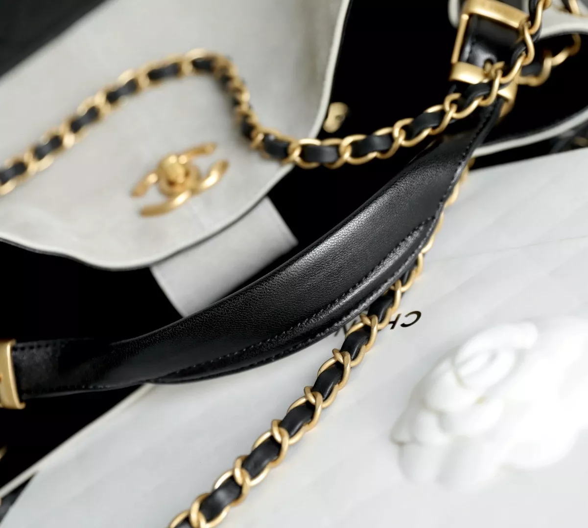 Chanel 25 Shopping Bag-14
