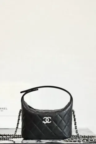 Chanel 25 hobo bag