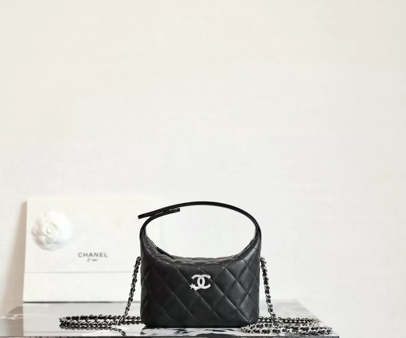 Chanel 25 hobo bag-01