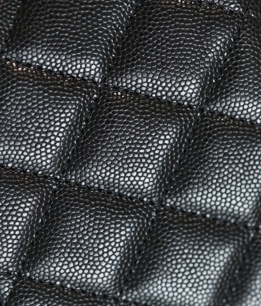 Chanel 25 hobo bag-02