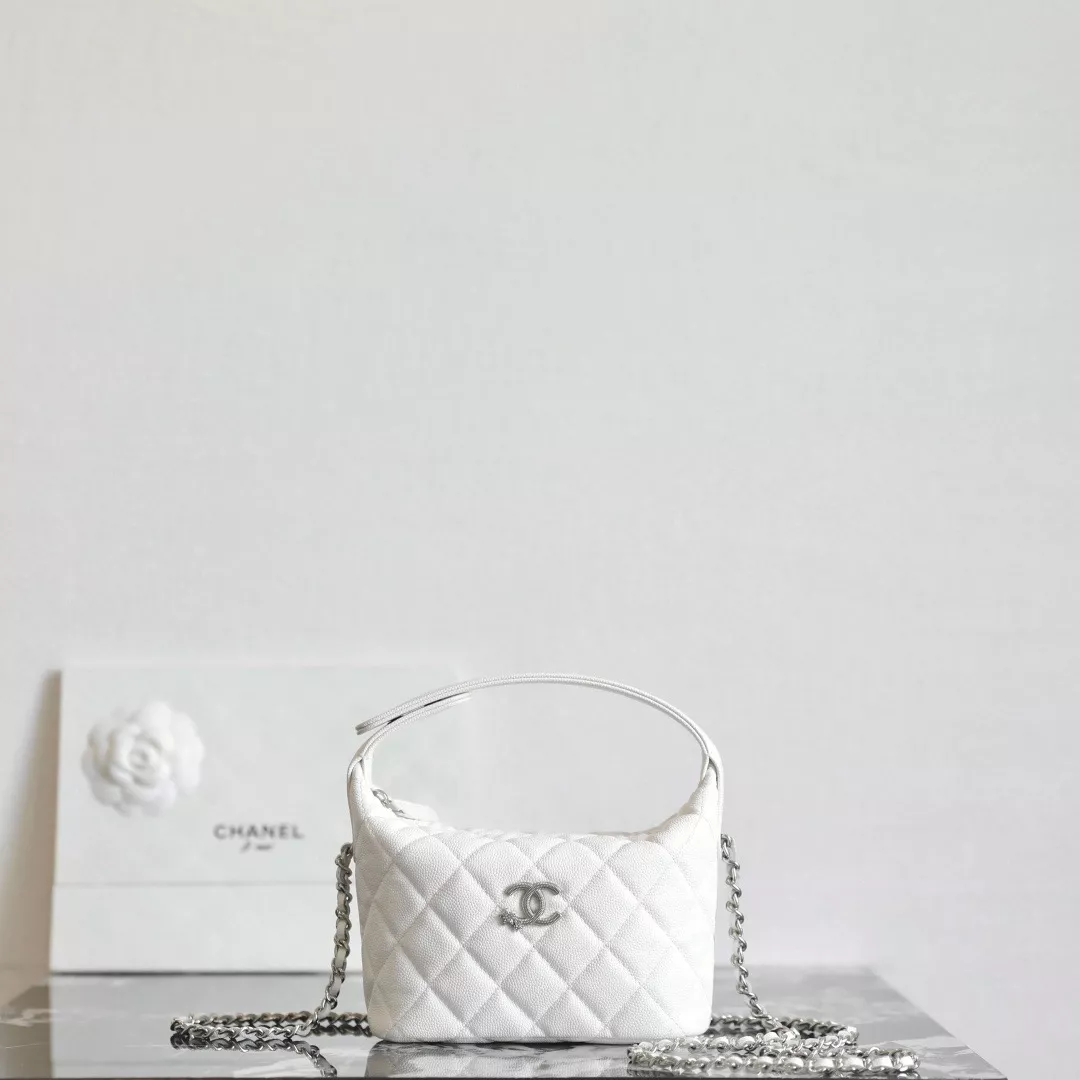 Chanel 25 hobo bag-10