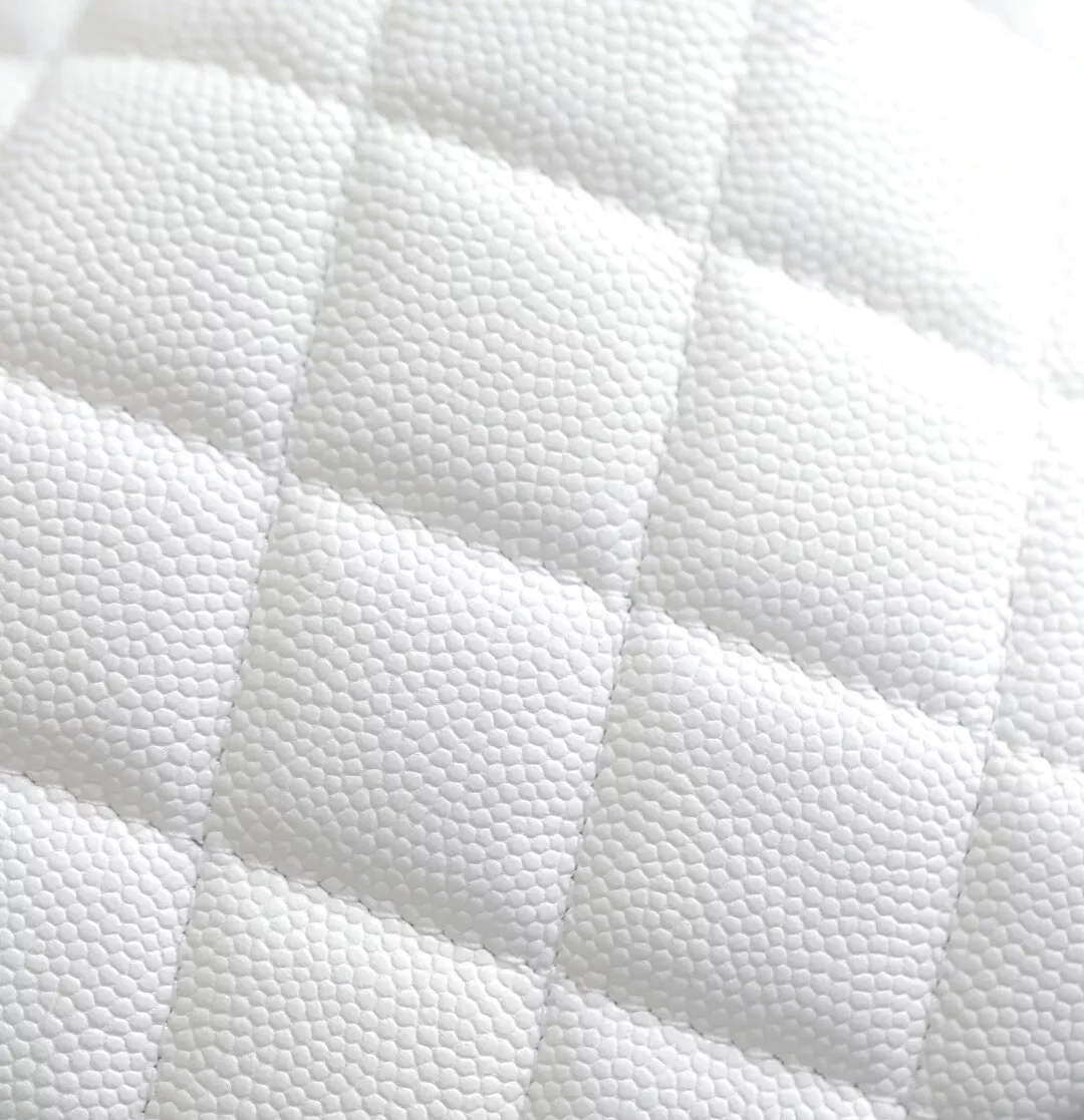 Chanel 25 hobo bag-11