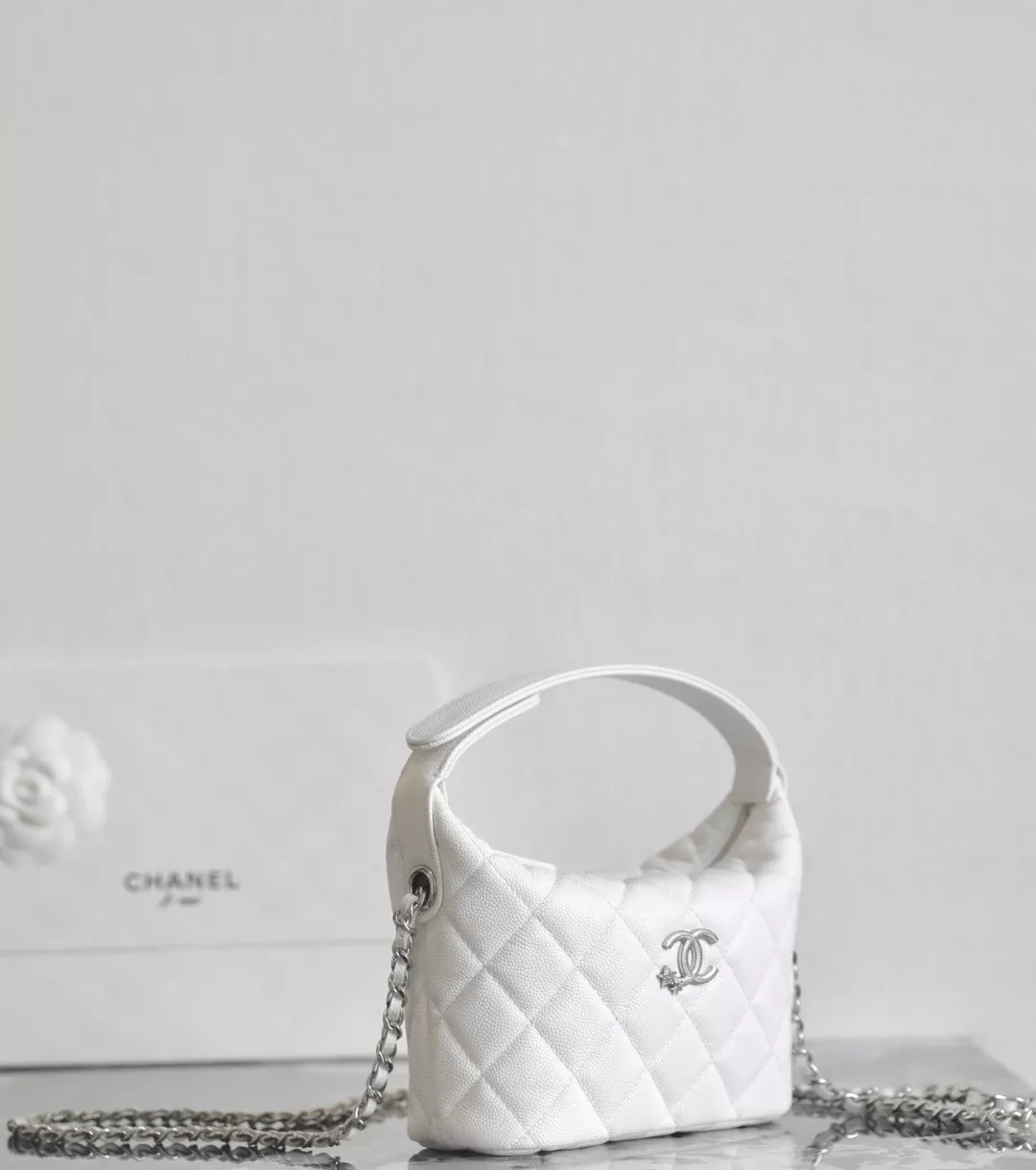 Chanel 25 hobo bag-14