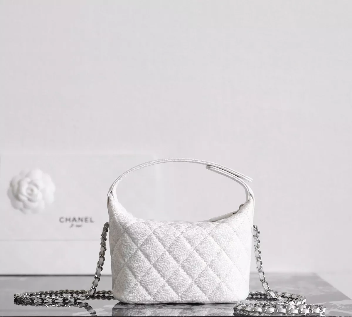 Chanel 25 hobo bag-15