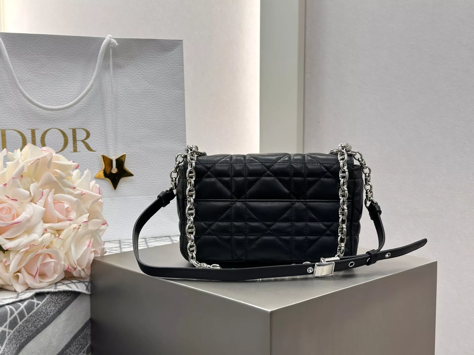 Dior Caro-04