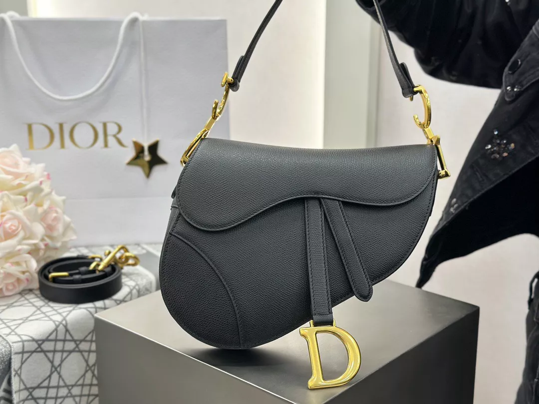 Dior Saddle-01