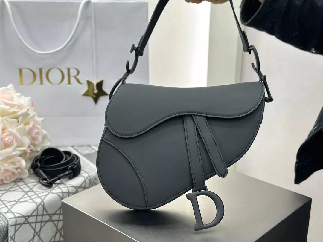 Dior Saddle-01