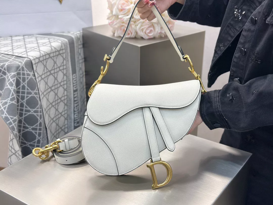 Dior Saddle-01