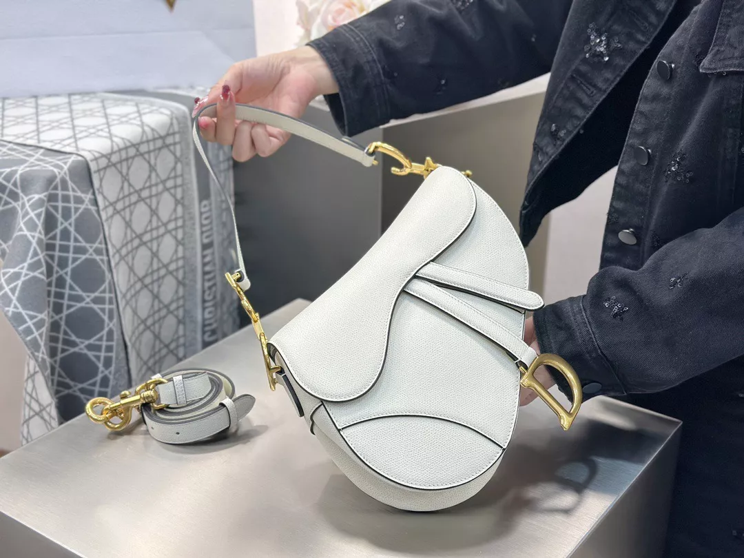 Dior Saddle-02