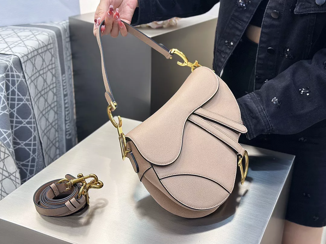 Dior Saddle-02