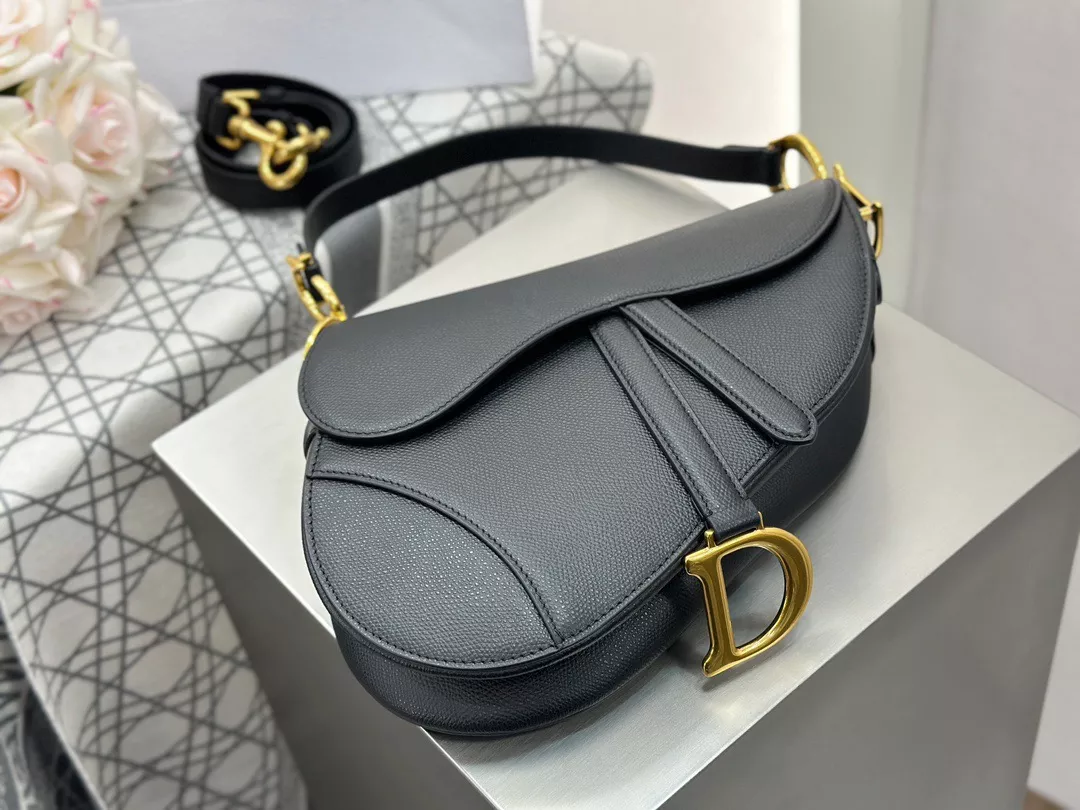 Dior Saddle-04