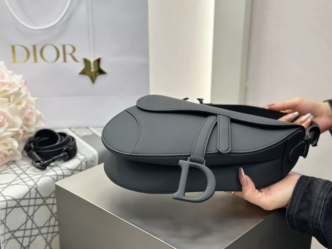 Dior Saddle-04