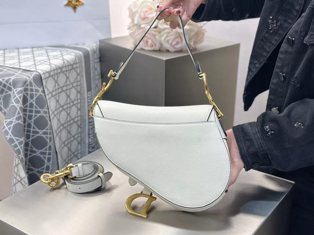 Dior Saddle-04