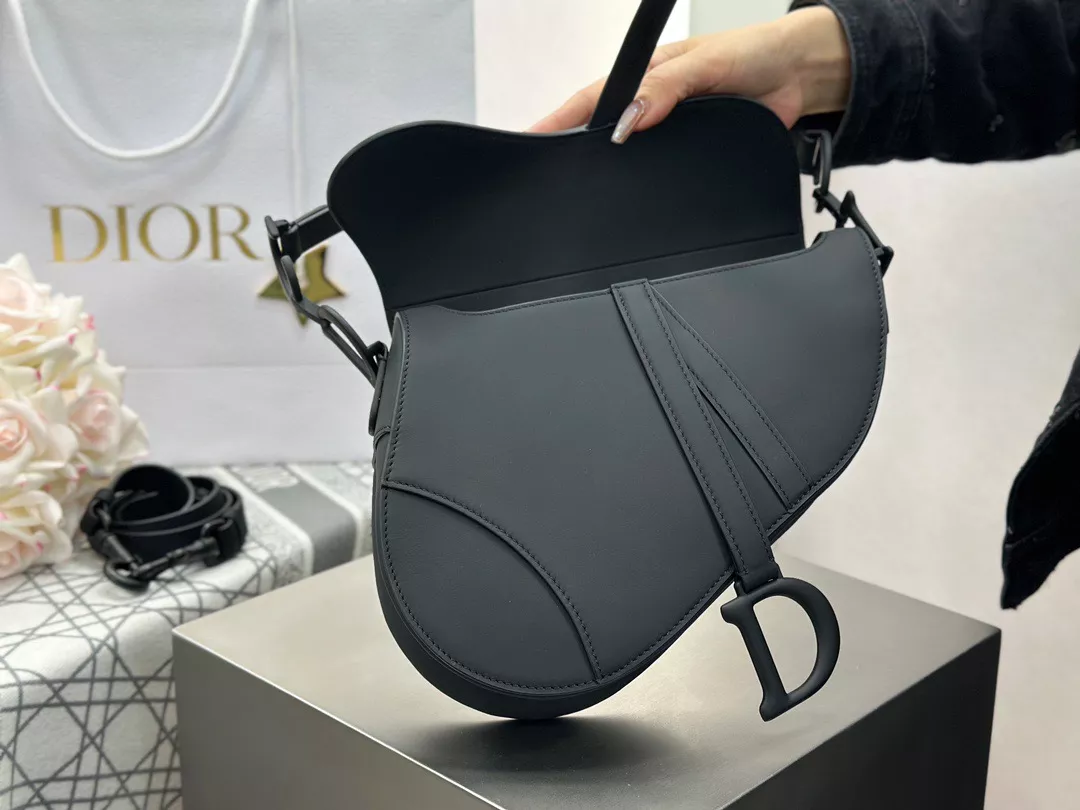 Dior Saddle-05