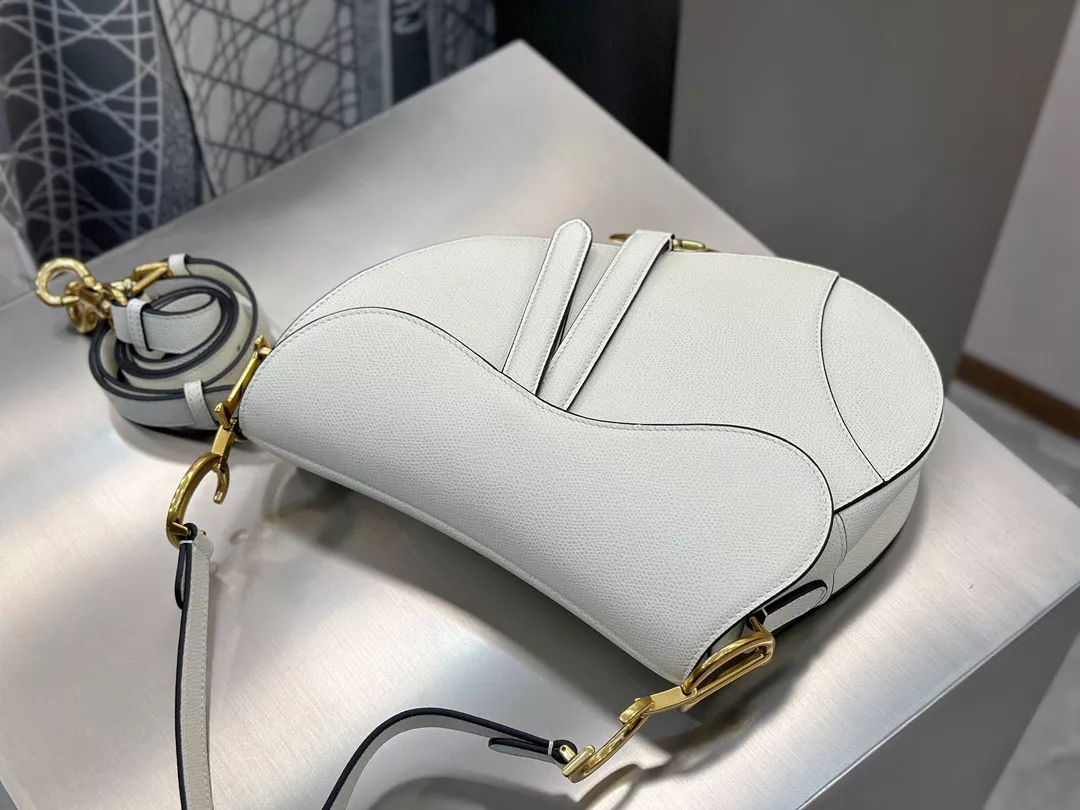 Dior Saddle-05