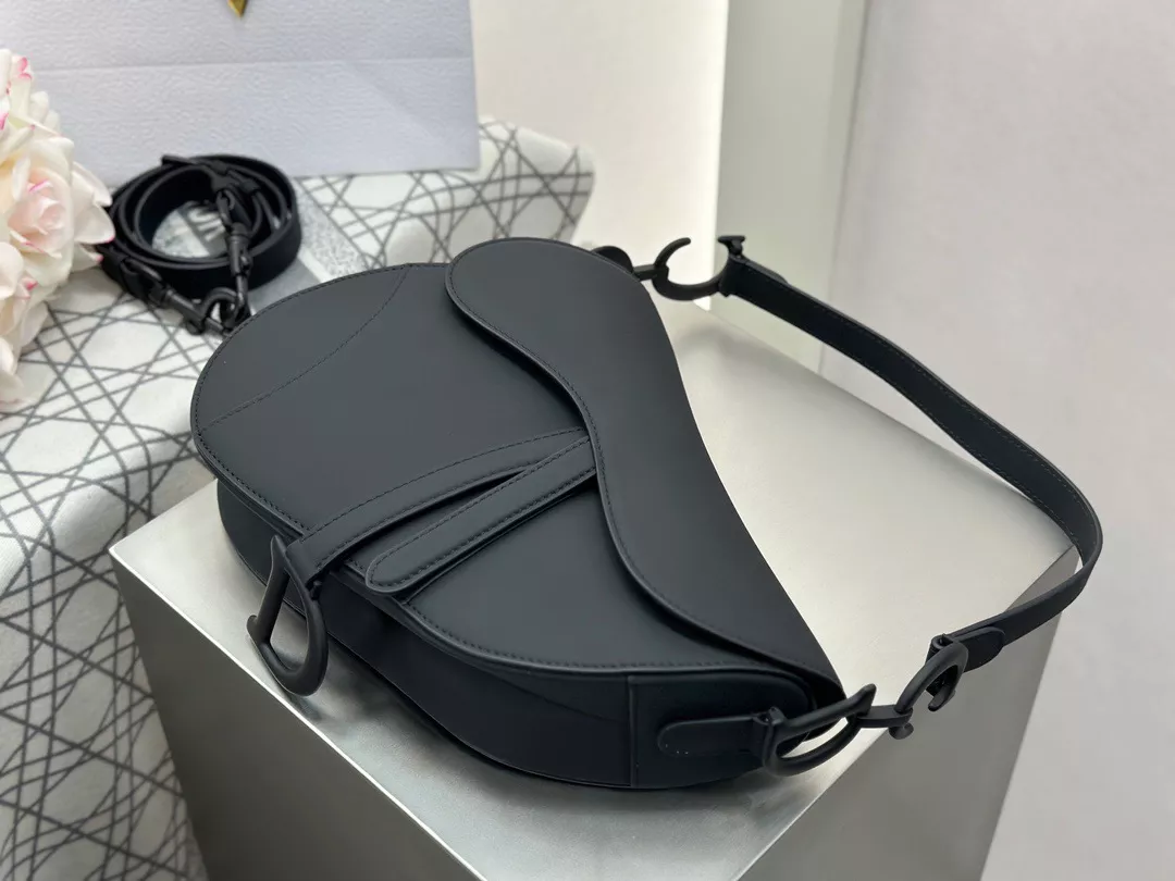 Dior Saddle-06