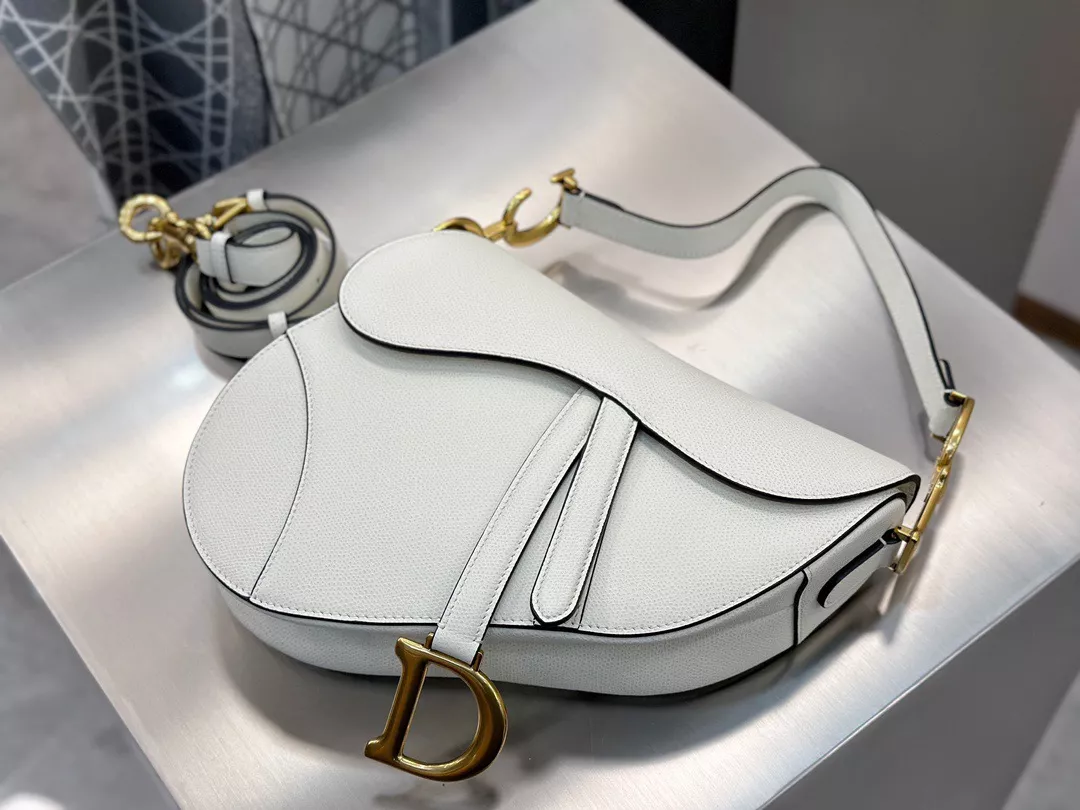 Dior Saddle-06