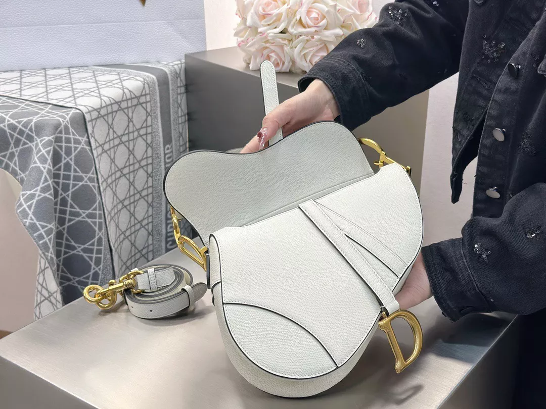 Dior Saddle-07