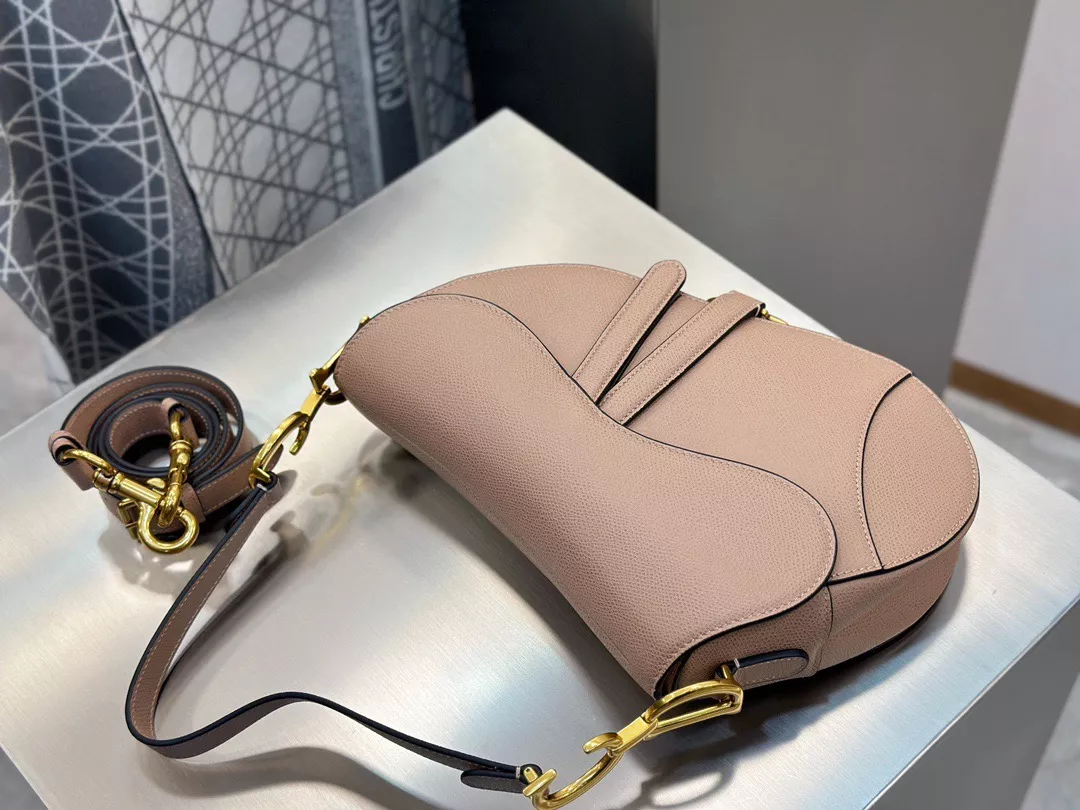 Dior Saddle-07