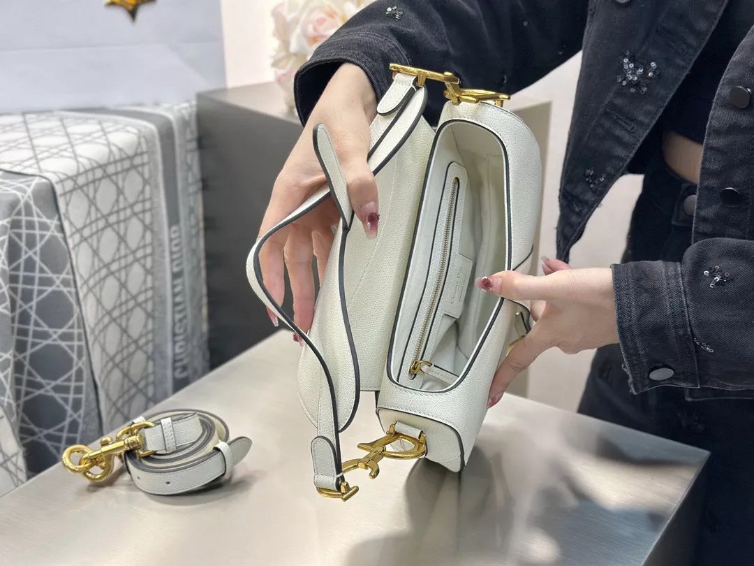 Dior Saddle-08