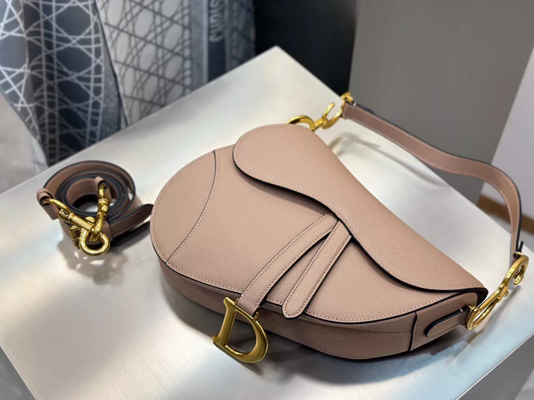 Dior Saddle-08